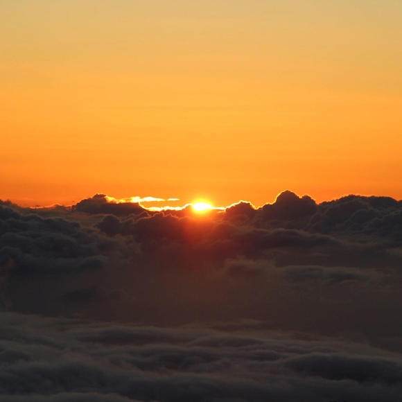 Meet your Posher, Kelli - Picture 1 of 1